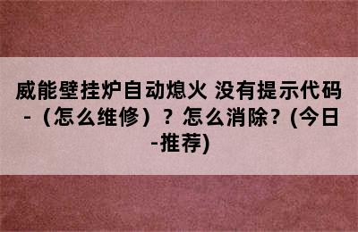 威能壁挂炉自动熄火 没有提示代码-（怎么维修）？怎么消除？(今日-推荐)